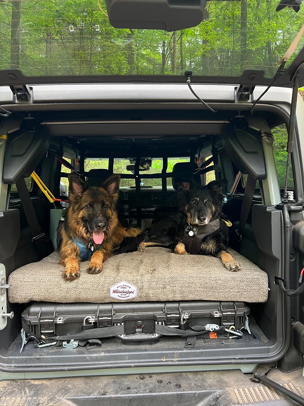 Ford Bronco Riding with dog - Bronco 2-Door options IMG_1144