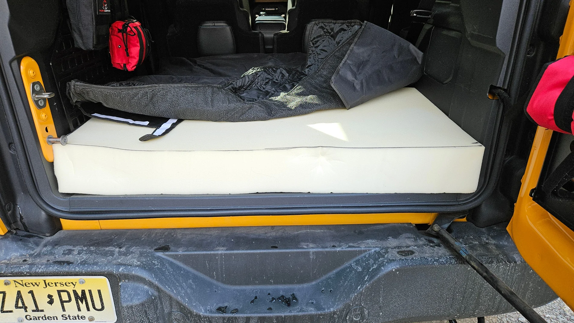 Ford Bronco Riding with dog - Bronco 2-Door options 20241201_111359