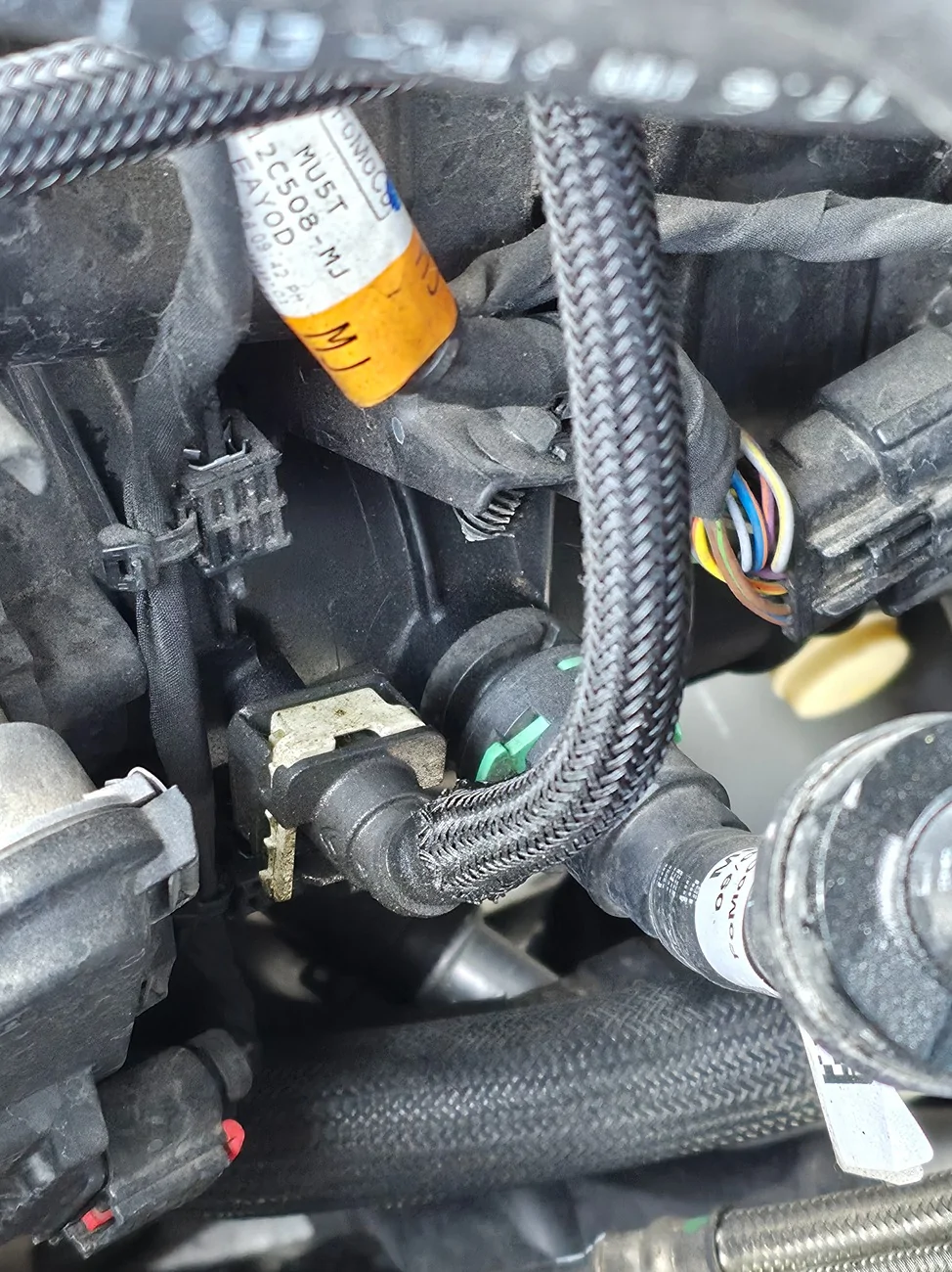 Ford Bronco 2.3 Oil Seepage 1000065751
