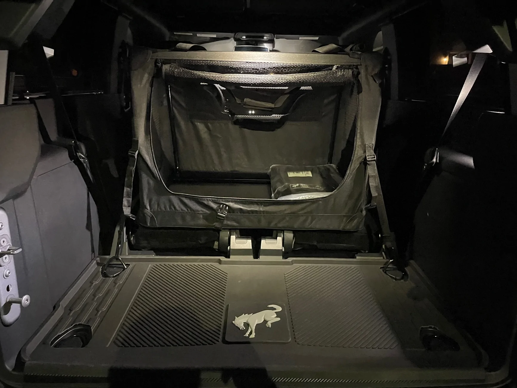 Ford Bronco Riding with dog - Bronco 2-Door options IMG_0014