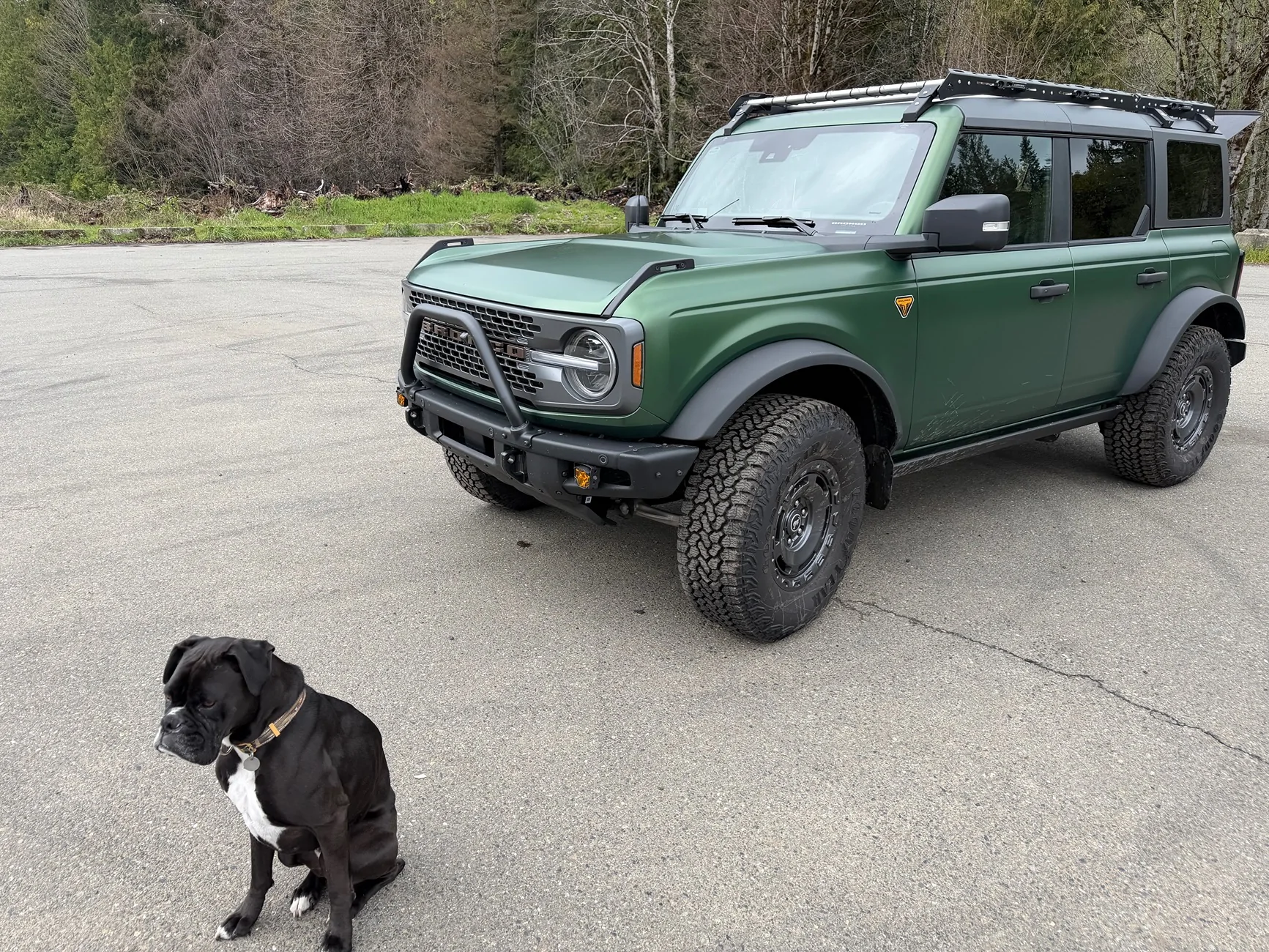 Ford Bronco PNW Broncos Capitol Forest, WA Feb '26 IMG_3535