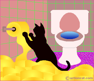 Ford Bronco Car wash etiquette please catandtoiletpaper