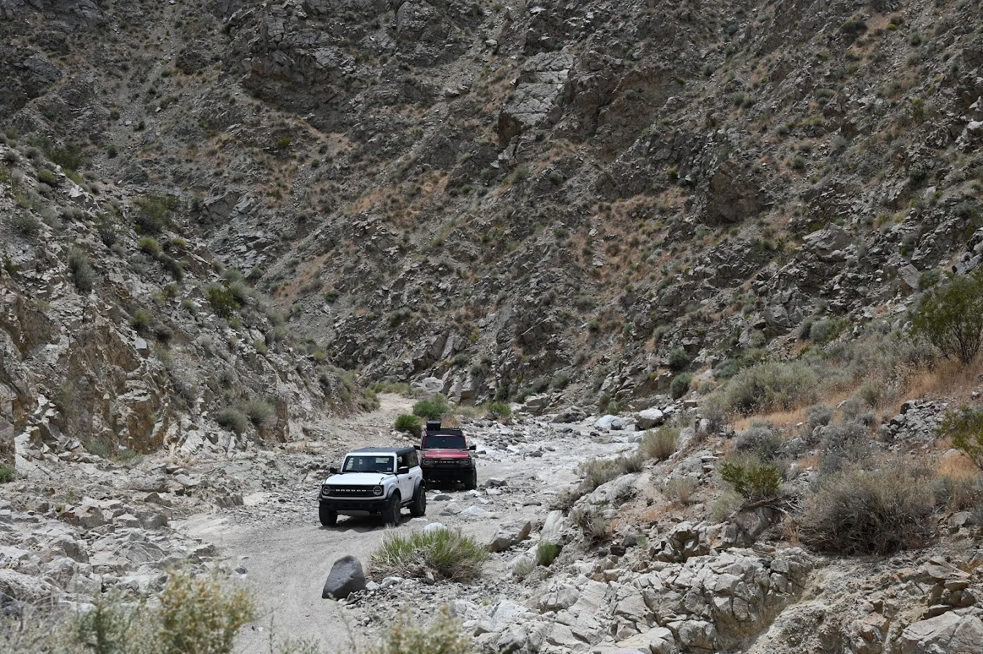 Ford Bronco Last Chance Canyon, Randsburg,  Jawbone Canyon OHV NZ6_0307 (1)