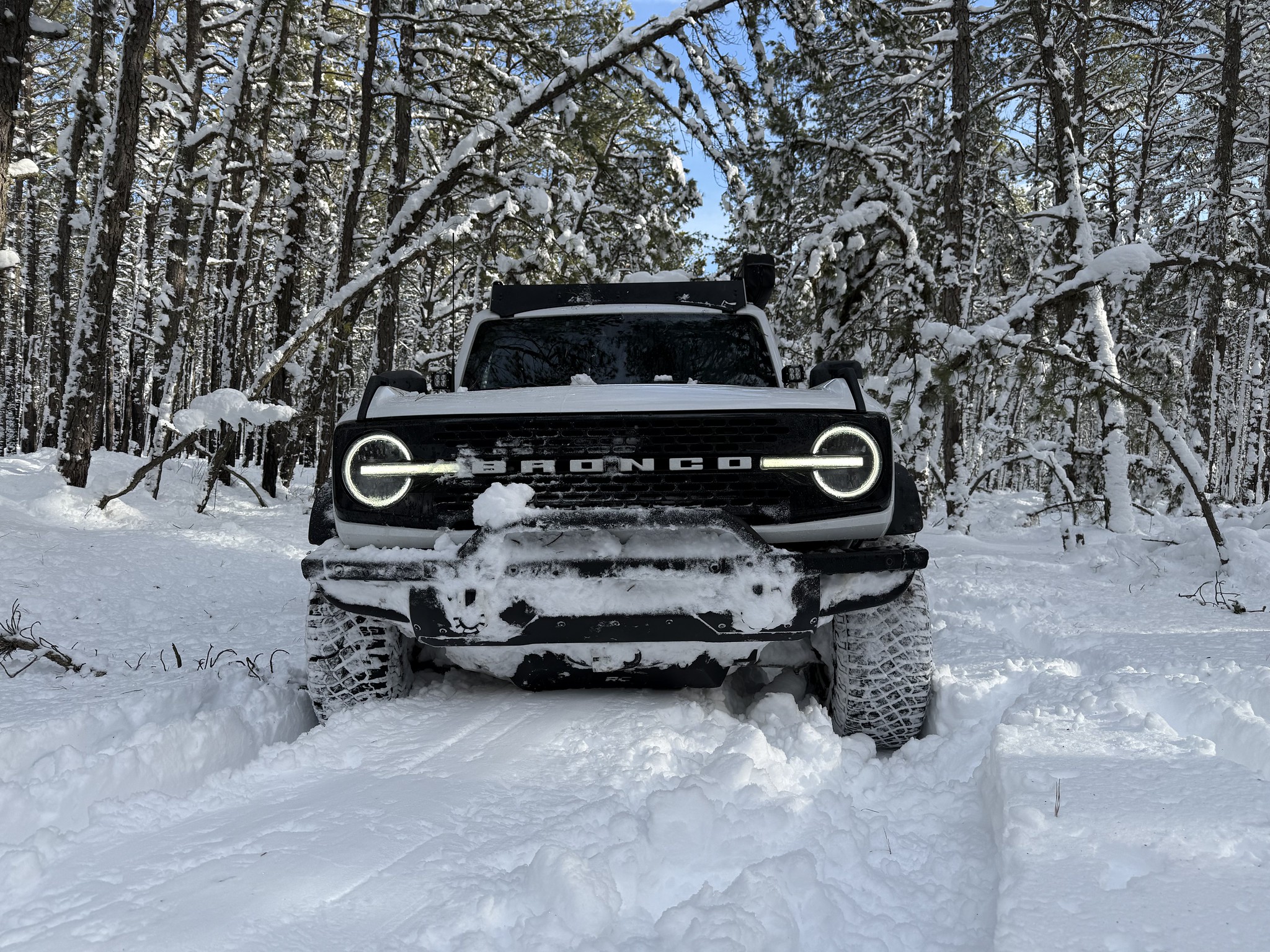 Ford Bronco IM A HORSE - Definitely not a build. 55115976650_21ab1c27c7_k