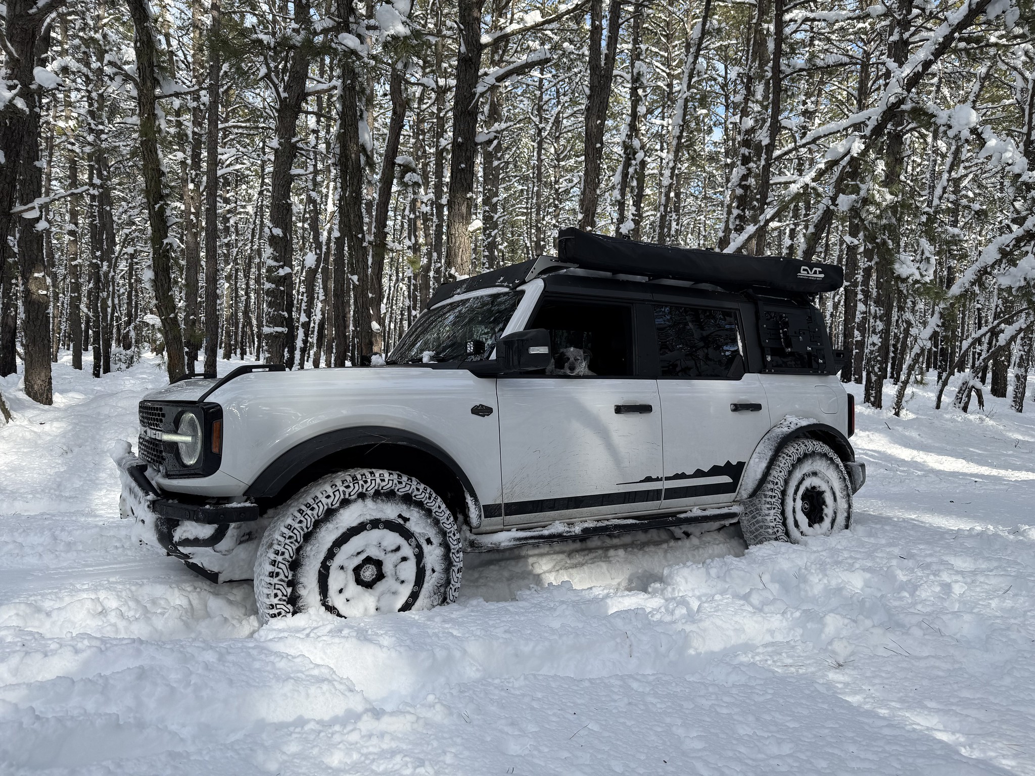 Ford Bronco IM A HORSE - Definitely not a build. 55114707947_92c0a4a435_k