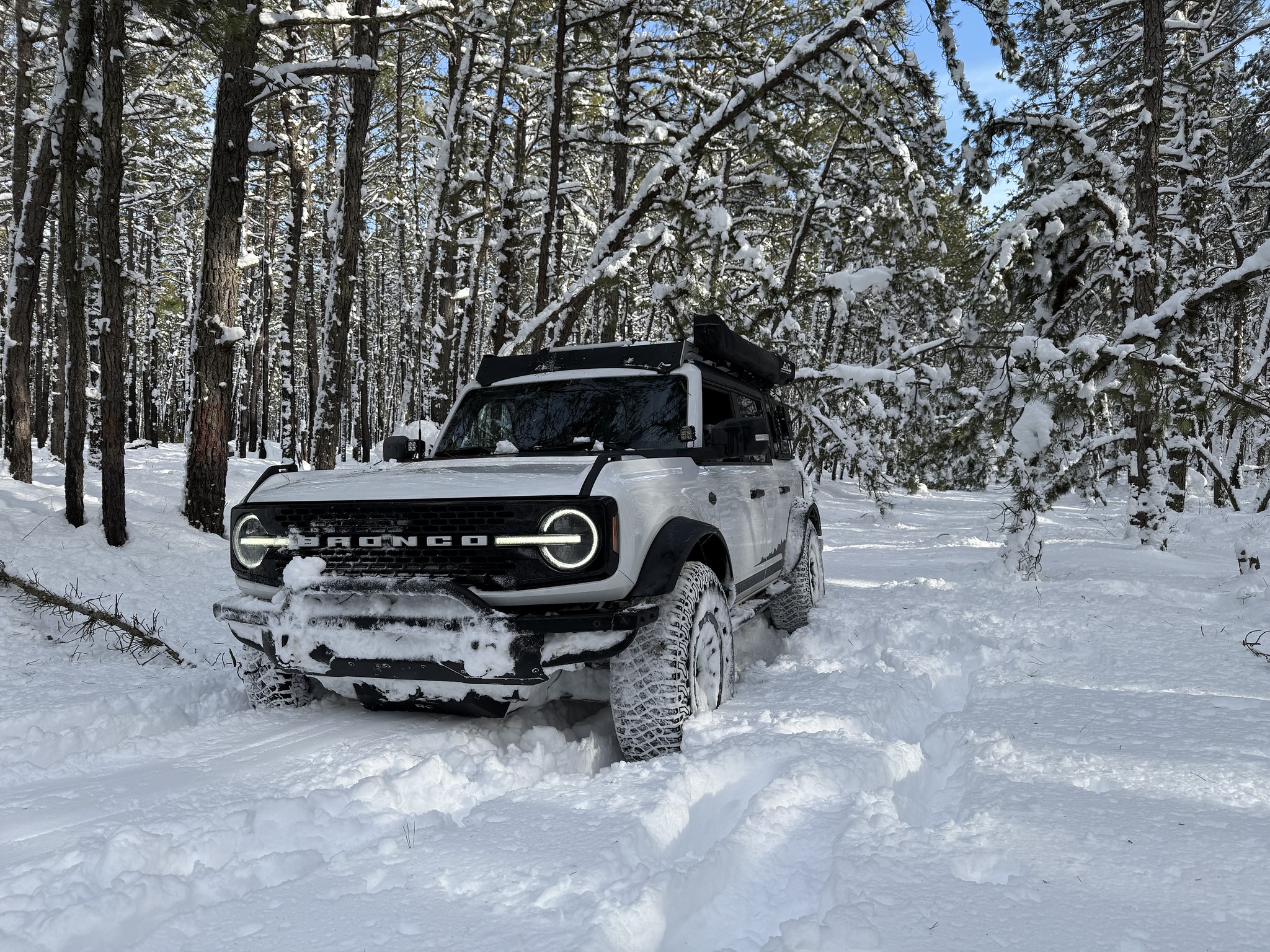 Ford Bronco IM A HORSE - Definitely not a build. 55115786003_29f660fdb8_k