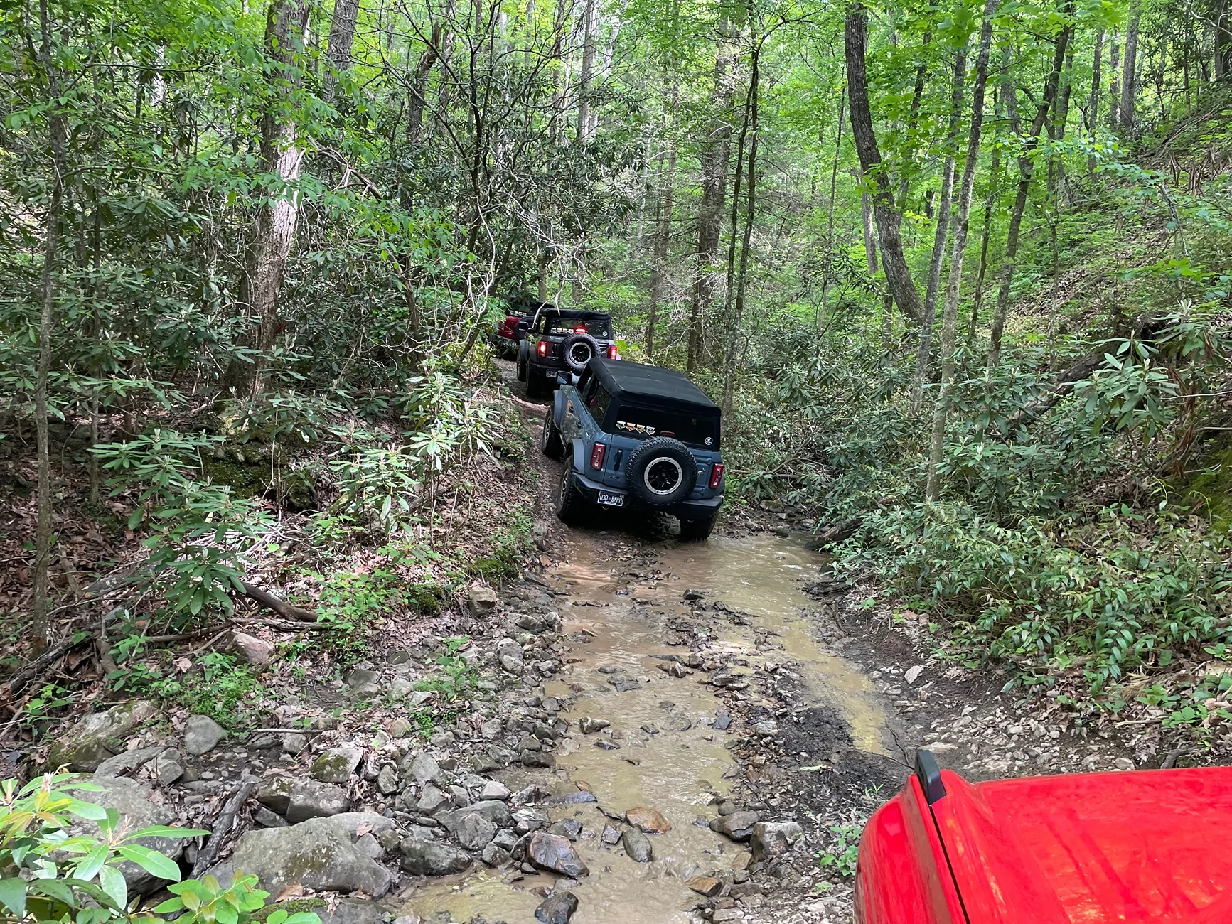 Ford Bronco Tennessee Bronco Off-Road Rodeo IMG_3327