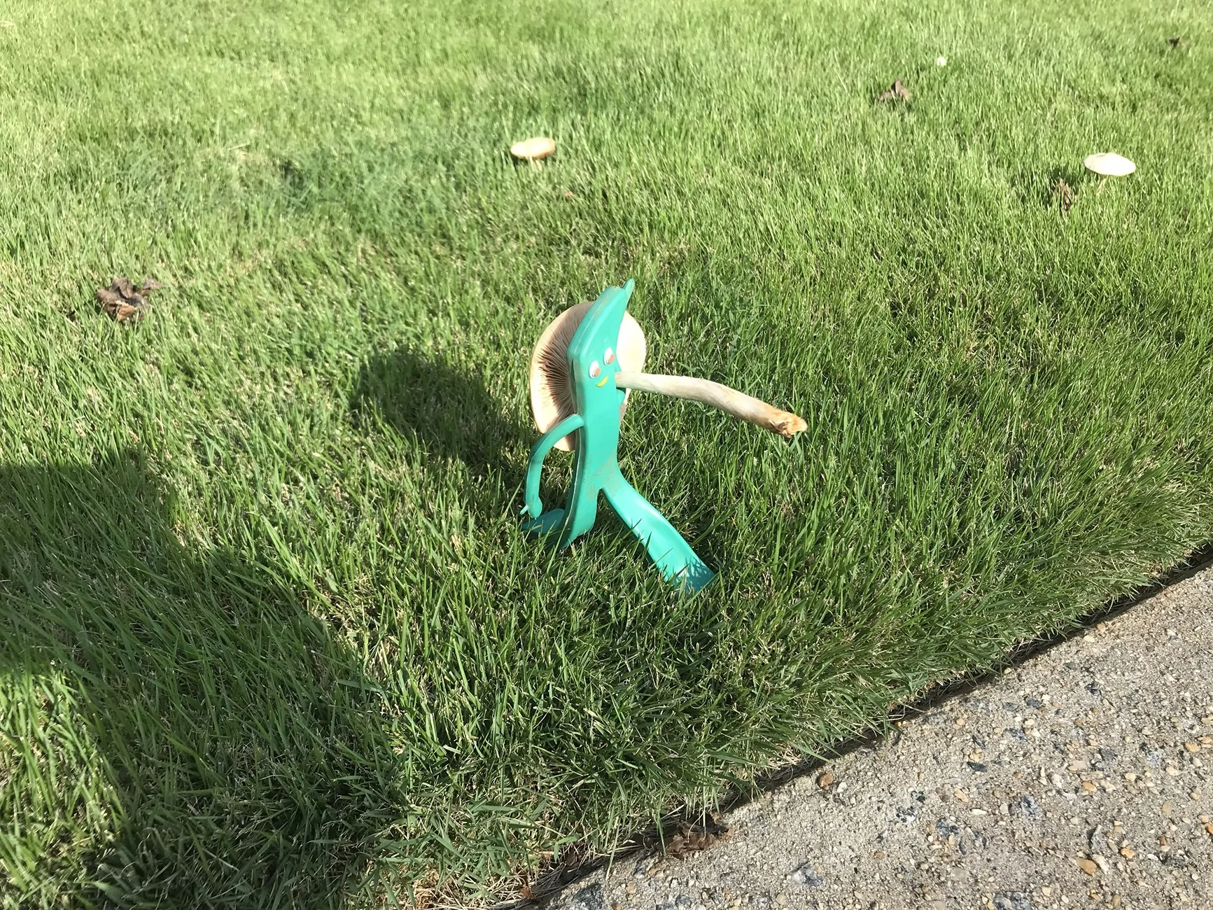 Ford Bronco The Official Bronco6G Photo Challenge Game 📸 🤳 Gumby2