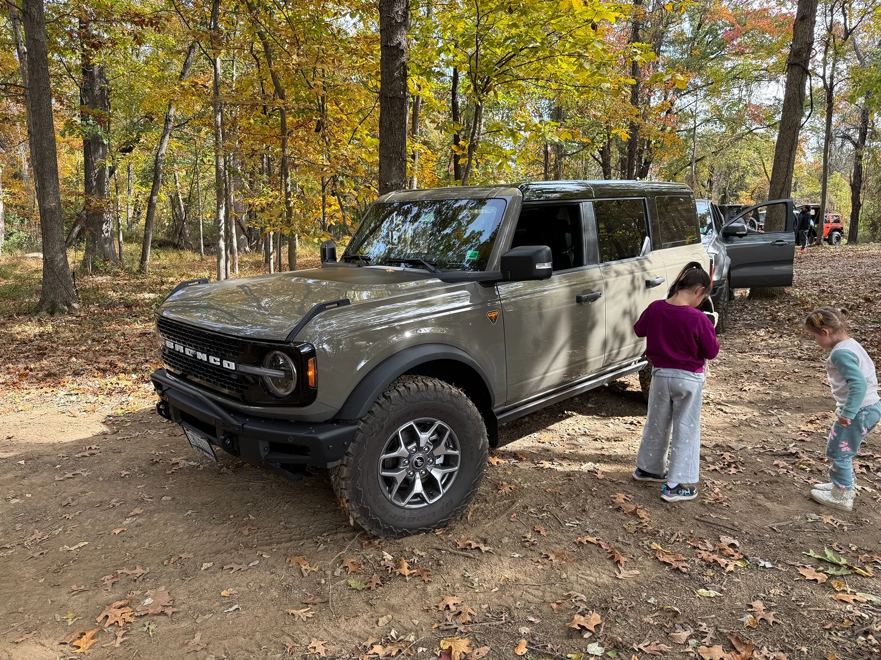 Ford Bronco Marsh Gray Colour Can people post pictures IMG_4429