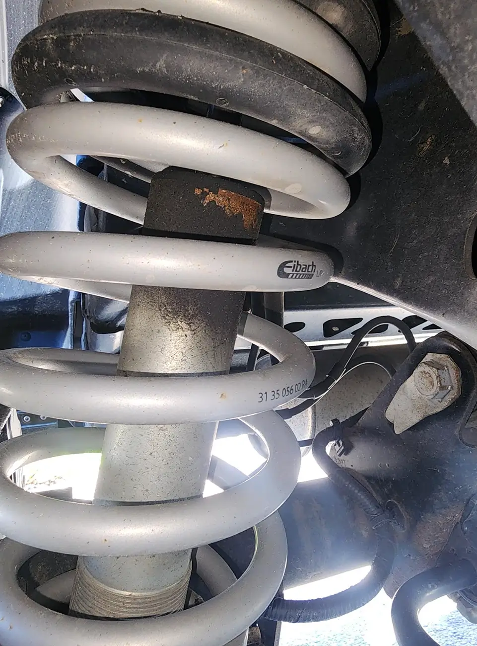Ford Bronco Is this normal? Eibach rear struts oil buildup Screenshot 2026-05-08 at 10.18.27 AM
