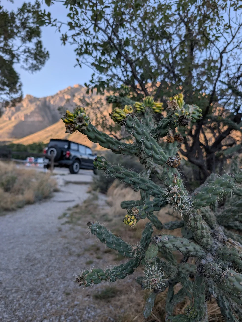 Ford Bronco 5,000 mile / 15 day camp trip to Yosemite, Lake Tahoe, Sedona (report + photos) PXL_20260419_003817261
