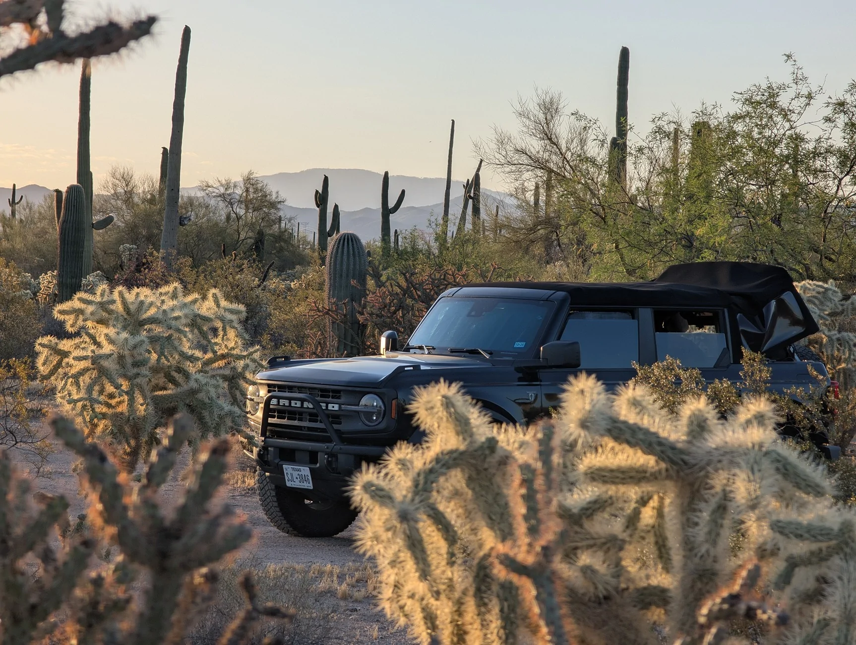 Ford Bronco 5,000 mile / 15 day camp trip to Yosemite, Lake Tahoe, Sedona (report + photos) PXL_20260420_131826694