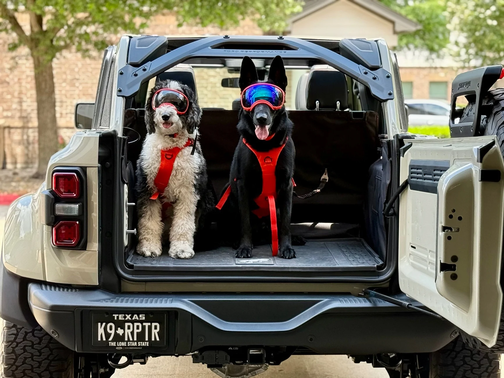 Ford Bronco 🐾 Show Us Your Dog + Bronco Photos! IMG_8698