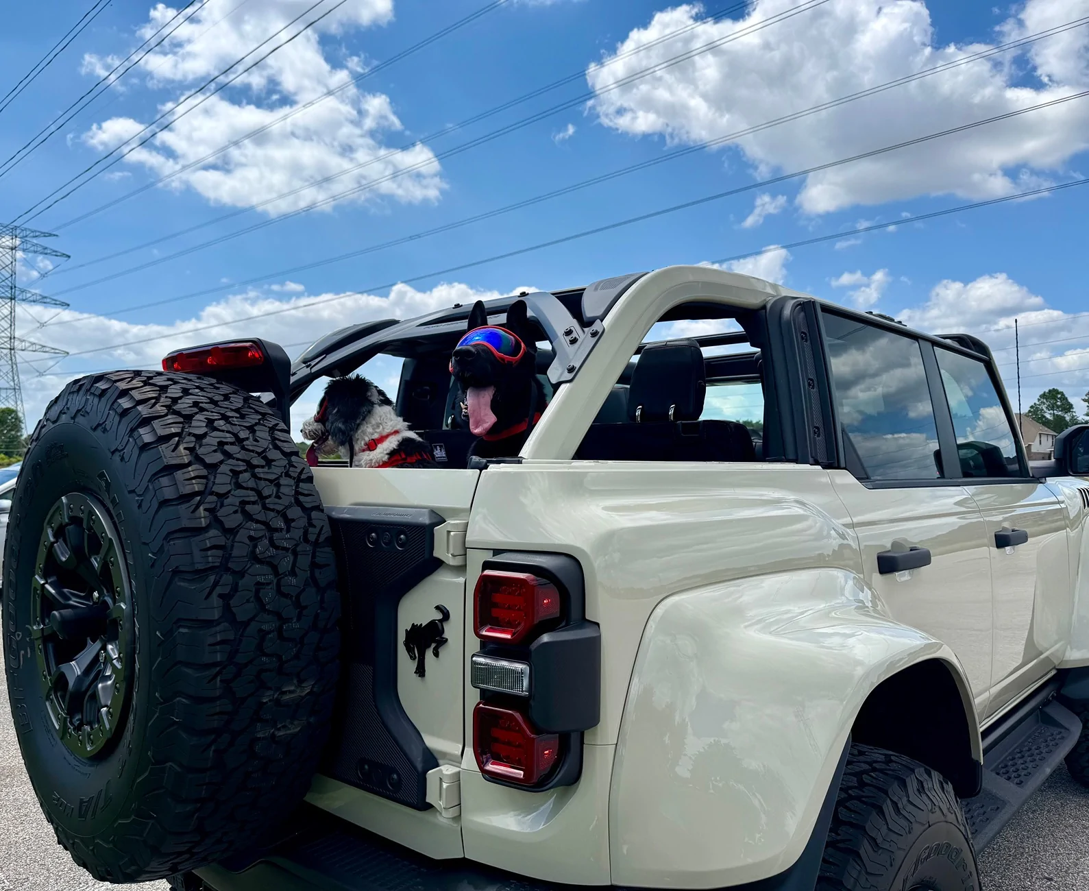 Ford Bronco 🐾 Show Us Your Dog + Bronco Photos! IMG_5639