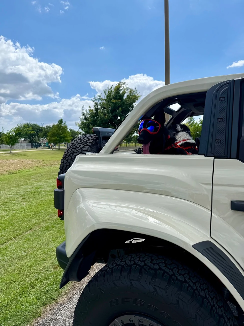 Ford Bronco 🐾 Show Us Your Dog + Bronco Photos! IMG_5638