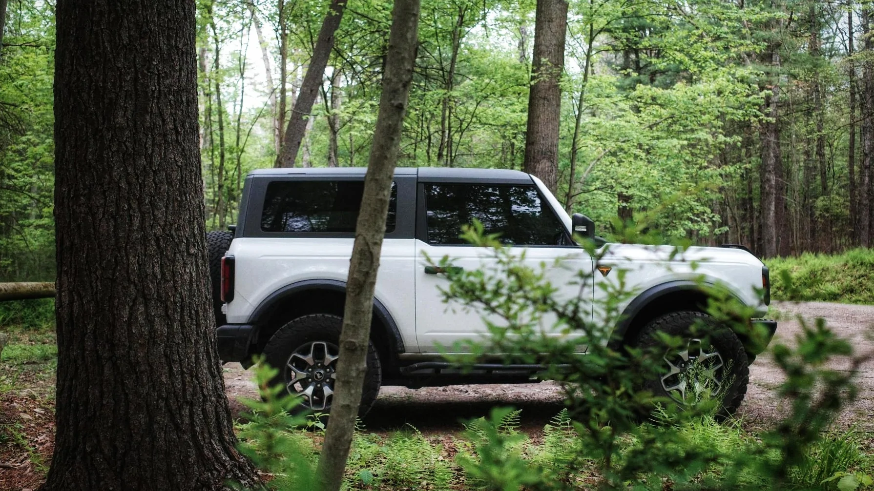 Ford Bronco Random Bronco Photos of the Day Thread! 📸 🤳 1000005010
