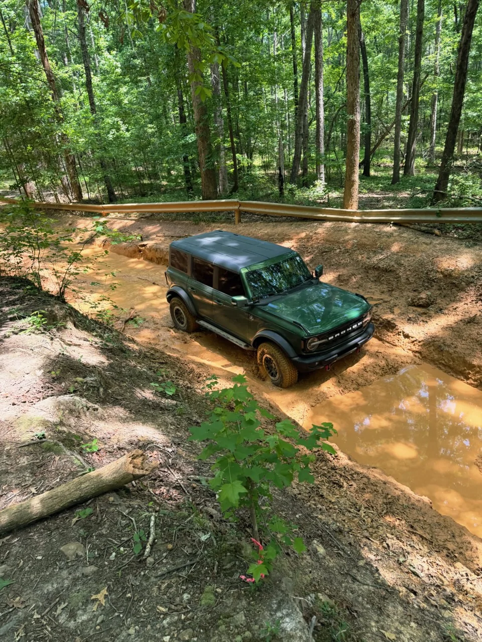 Ford Bronco ERUPTION GREEN Bronco Club IMG_0961