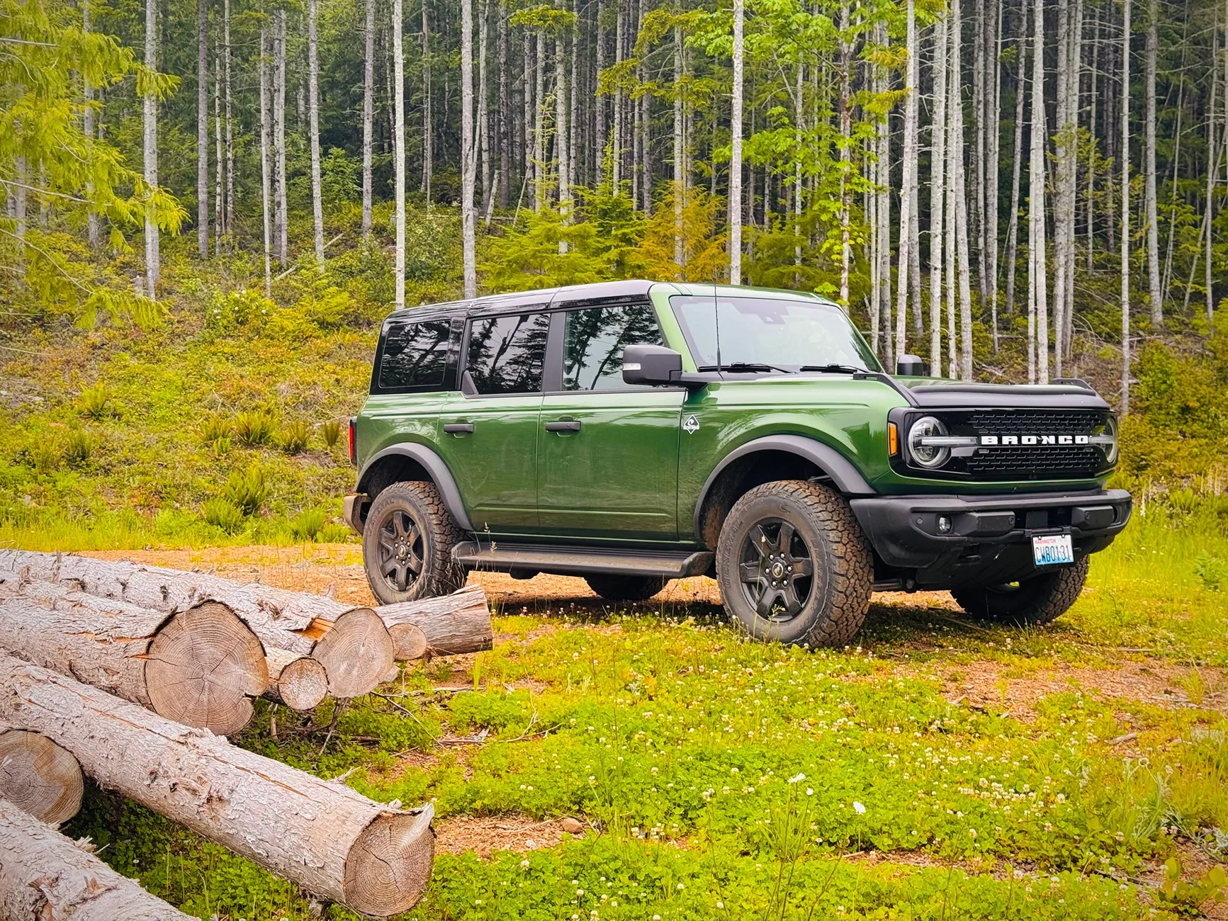 Ford Bronco ERUPTION GREEN Bronco Club IMG_0232