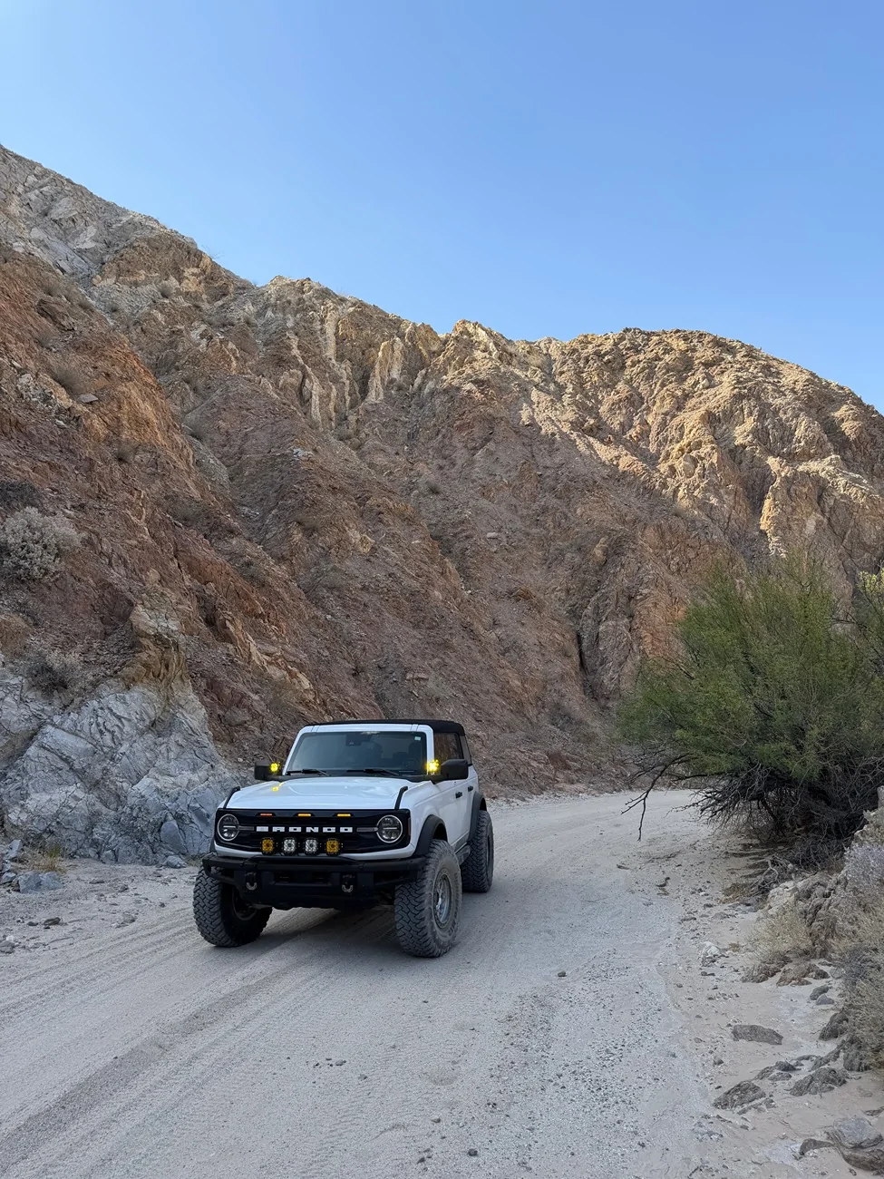 Ford Bronco Adventures of Yeti (Big Bend Build) IMG_2911