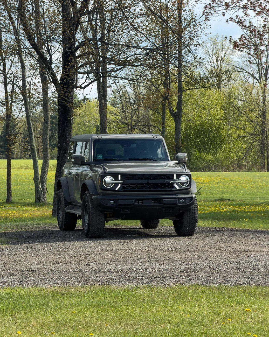 Ford Bronco Marsh Gray Colour Can people post pictures IMG_4029