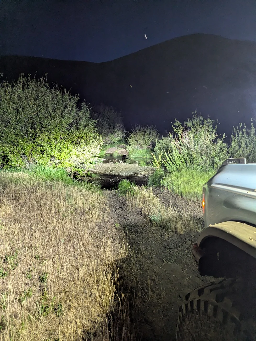 Ford Bronco Bronco Night Rides! 🌙 PXL_20260525_041358184