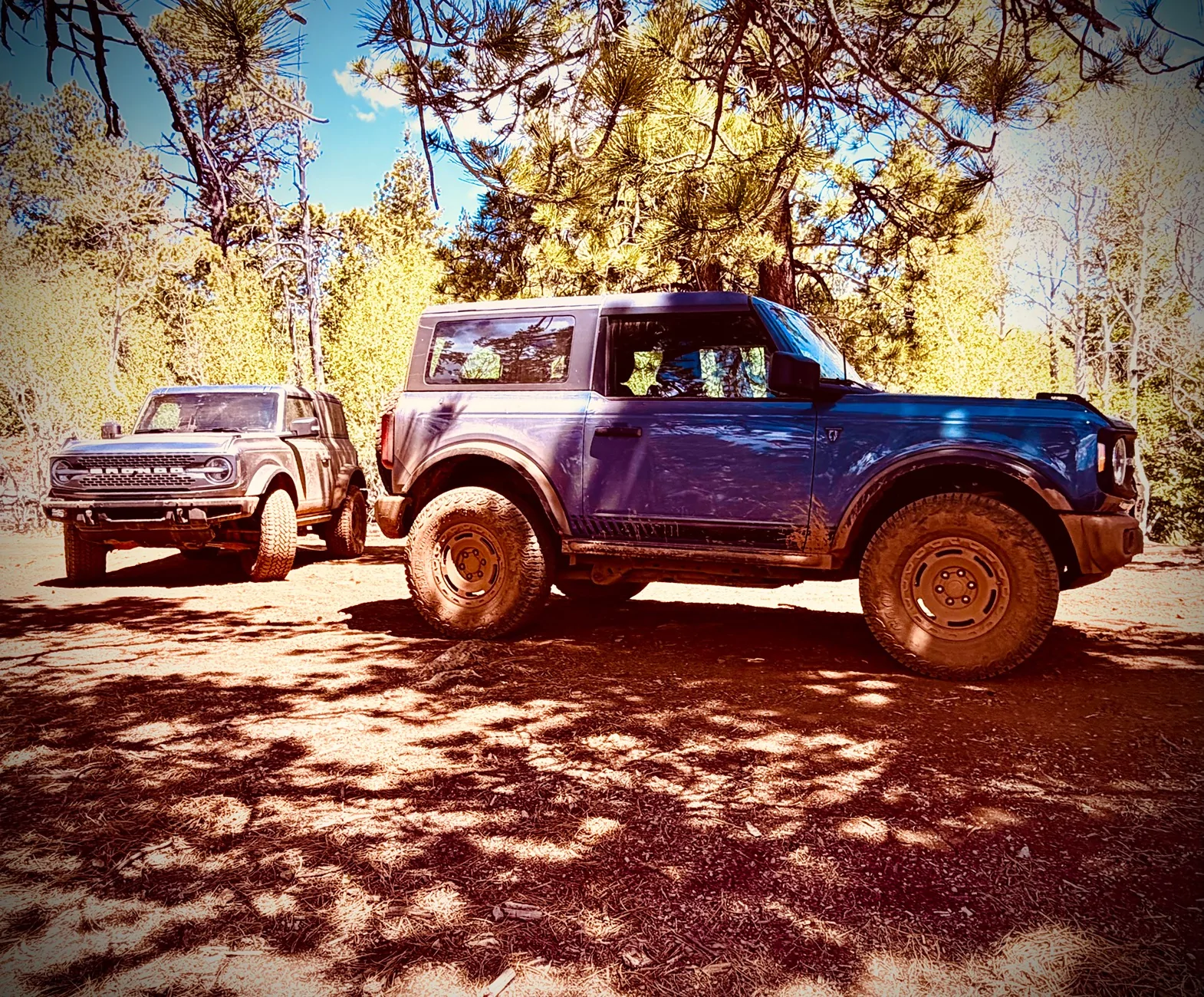 Ford Bronco Two Door Tuesday Lets See Them Two Doors IMG_7442