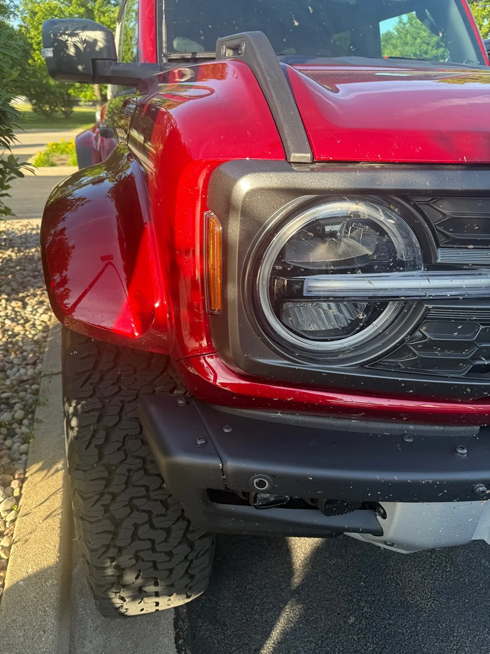 Ford Bronco Just Picked Her Up…… IMG_1155