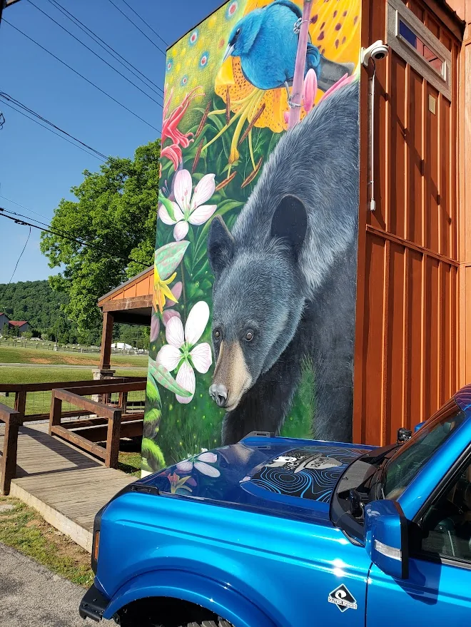 Ford Bronco The Official Bronco6G Photo Challenge Game 📸 🤳 1780830740600-m8