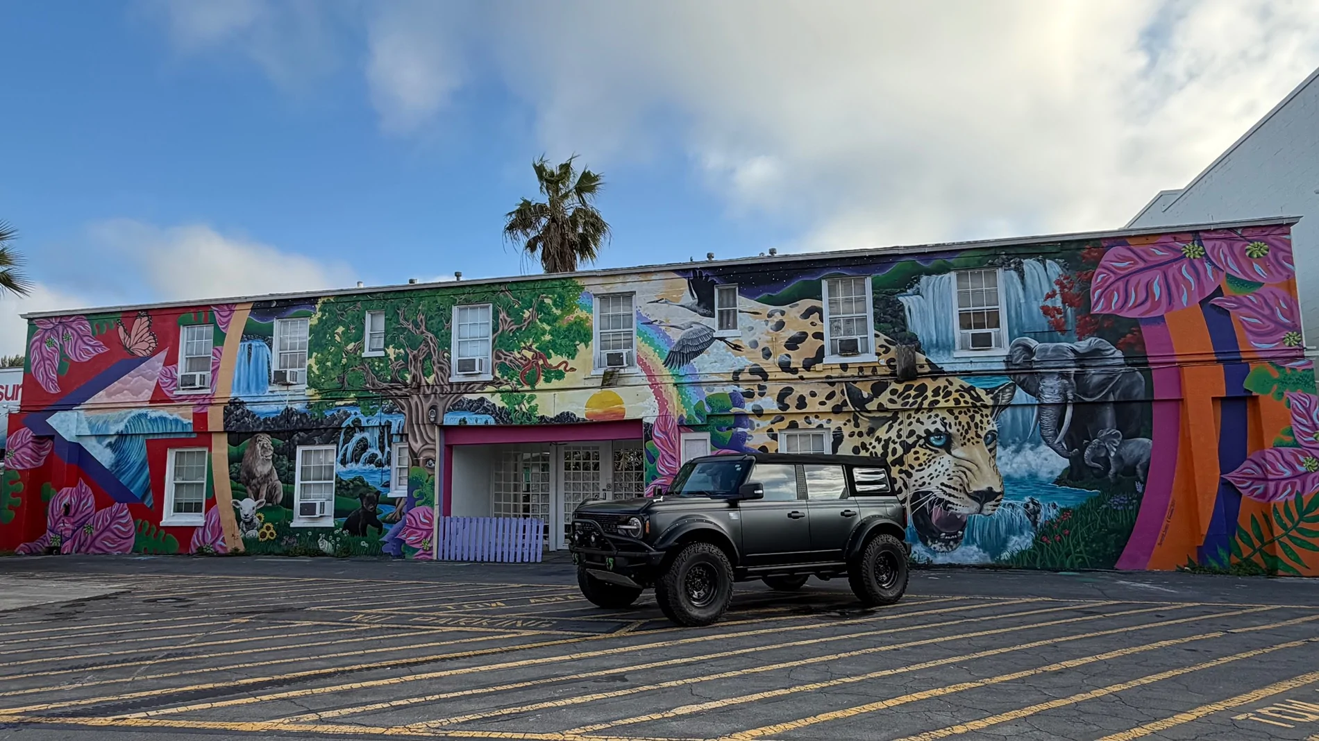 Ford Bronco The Official Bronco6G Photo Challenge Game 📸 🤳 IMG_0785