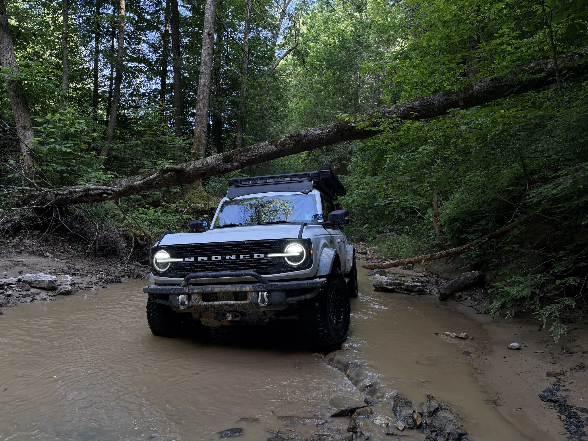 Ford Bronco What did you do TO / WITH your Bronco today? 👨🏻‍🔧🧰🚿🛠 55323698113_fa6301228c_k