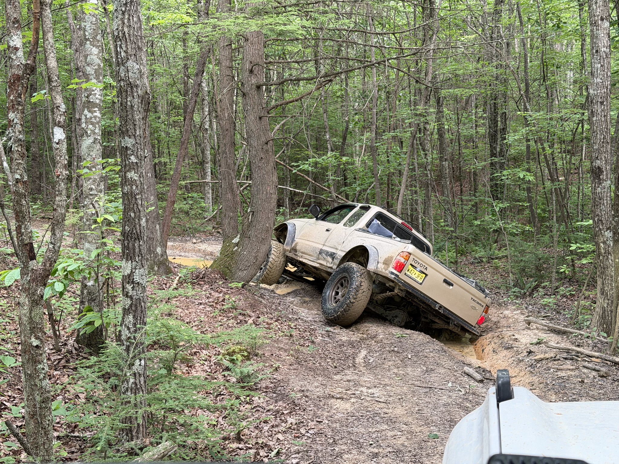 Ford Bronco What did you do TO / WITH your Bronco today? 👨🏻‍🔧🧰🚿🛠 55323540096_f04da88a6e_k