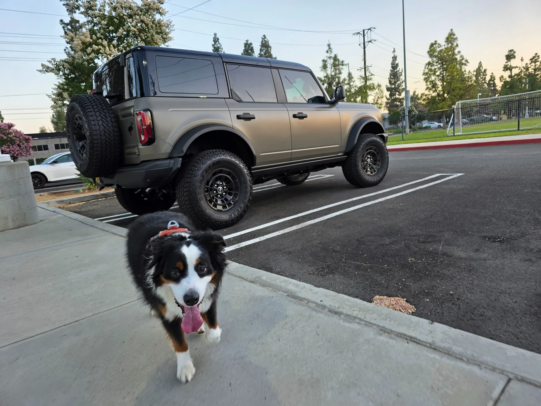 Ford Bronco Giveaway! Show Us Your Rig & Win a FREE Set of Michelin Floor Mats! 20260609_195706
