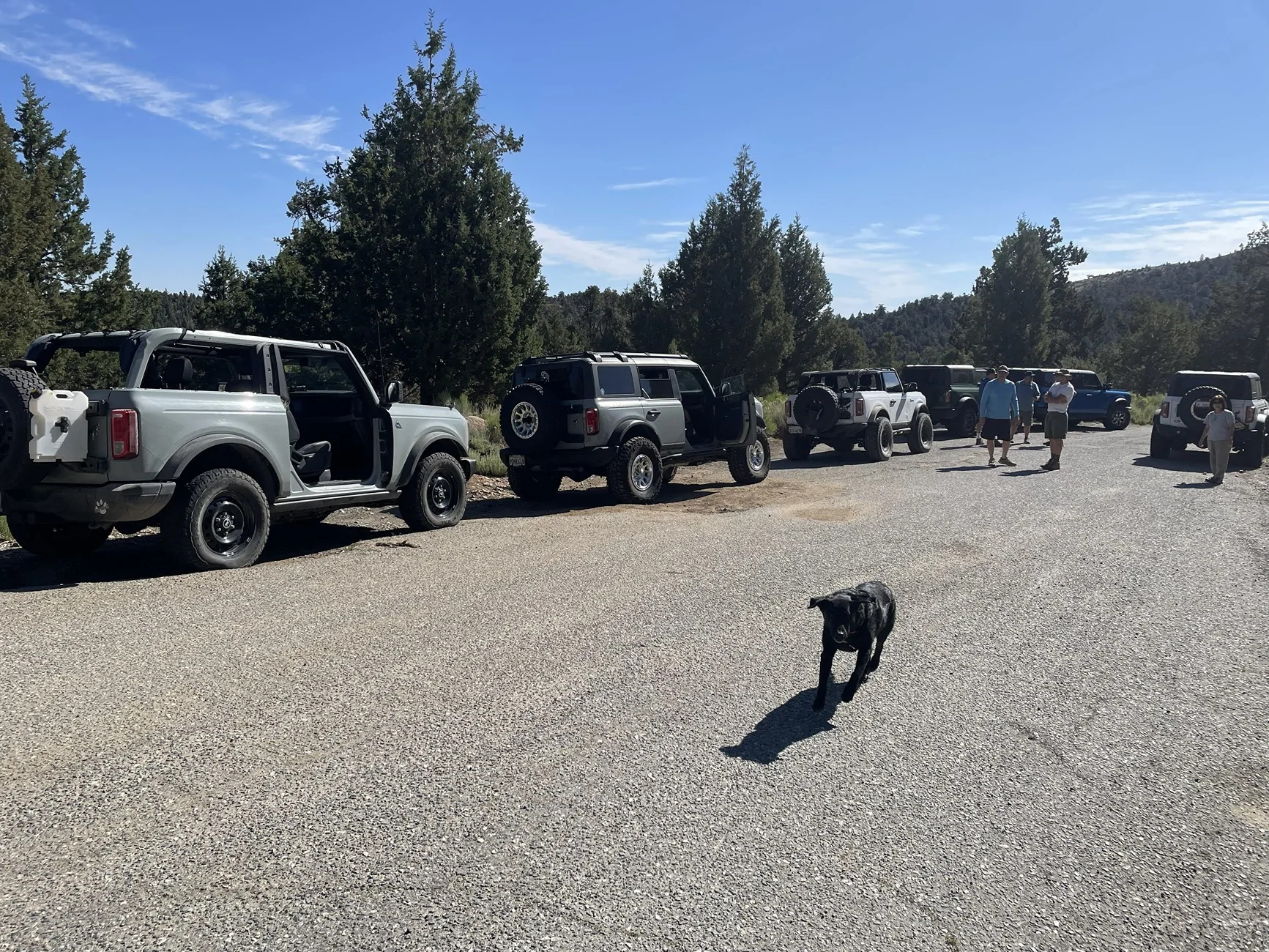 Ford Bronco Big Bear Bronco Bash XXV Heartbreak Ridge Friday 6-12-26 IMG_4423