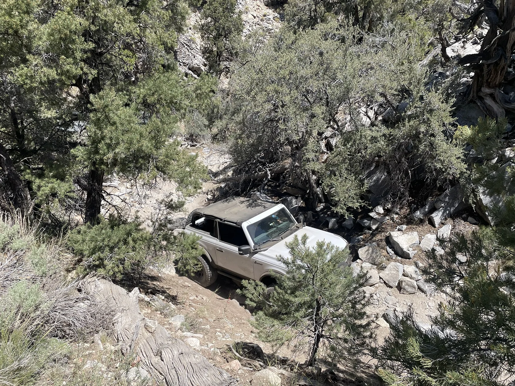 Ford Bronco Big Bear Bronco Bash XXV Heartbreak Ridge Friday 6-12-26 IMG_4434
