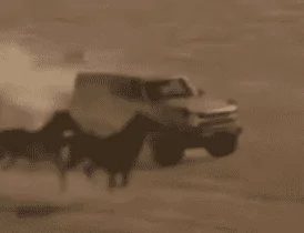 Ford Bronco Ford Bronco Short Film Announces “Built Wild” Outdoor Brand and “Off-Roadeo” Offroad Driving Schools 1594036839369