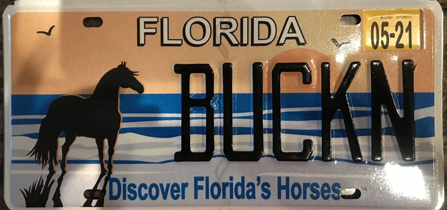 Ford Bronco Custom vanity license plate for Bronco? 4EEF72F3-6C13-4DAB-8511-53AAD4A007BD