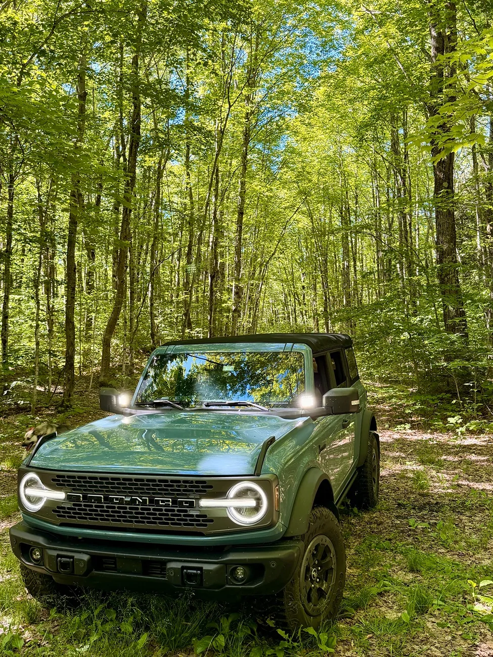 Ford Bronco Random Bronco Photos of the Day Thread! 📸 🤳 6-19-26 UP_1