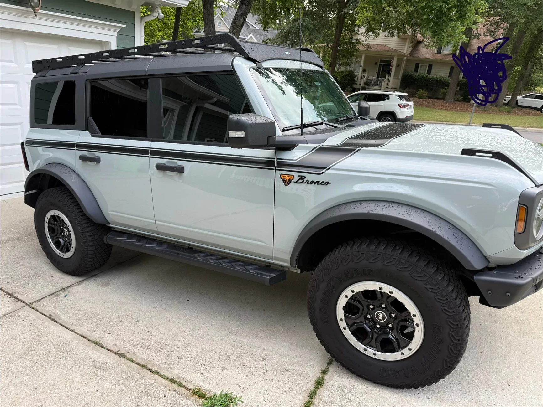 Ford Bronco CACTUS GRAY Bronco Club IMG_1375