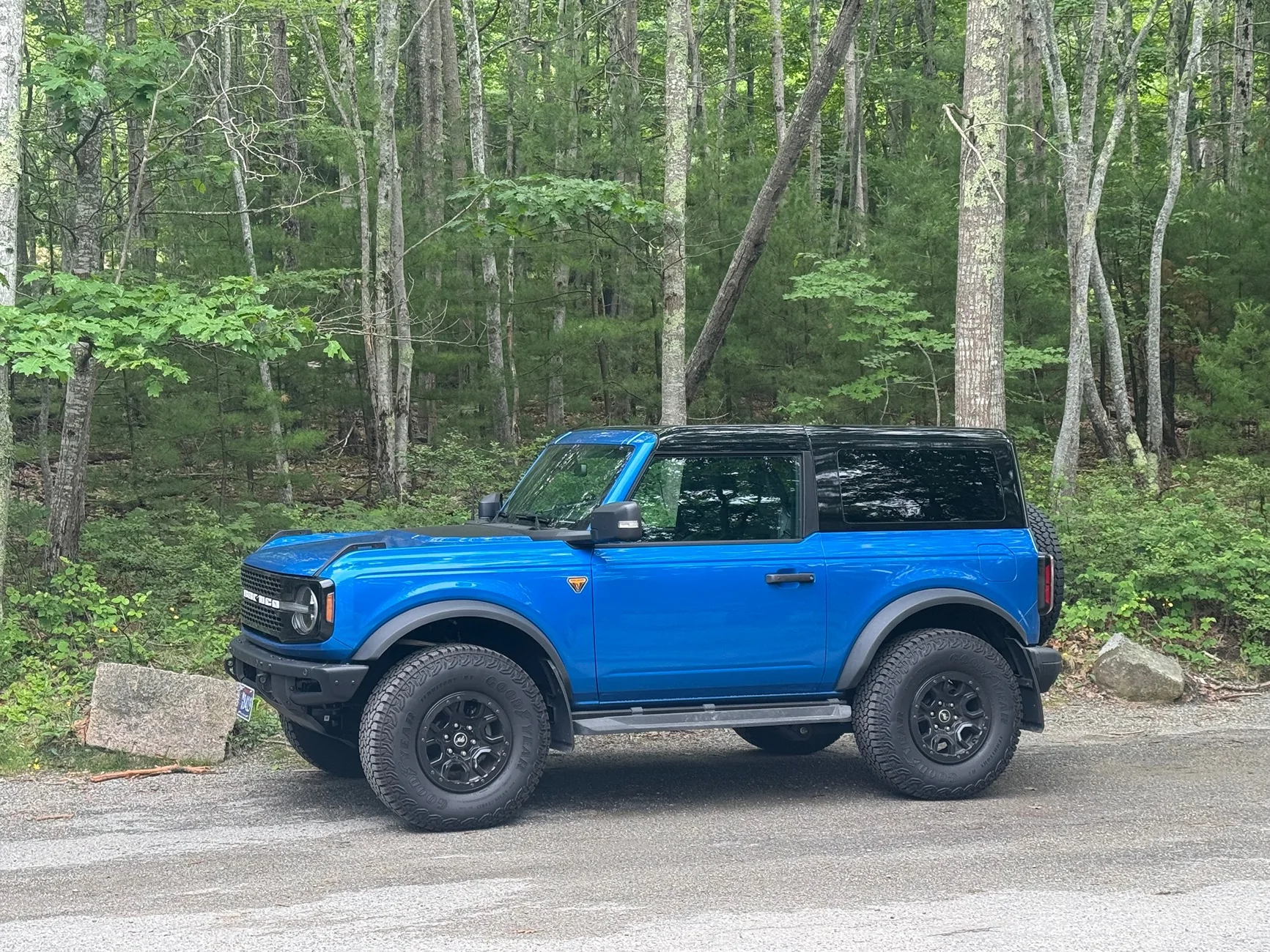 Ford Bronco Acadia Elopement IMG_9477