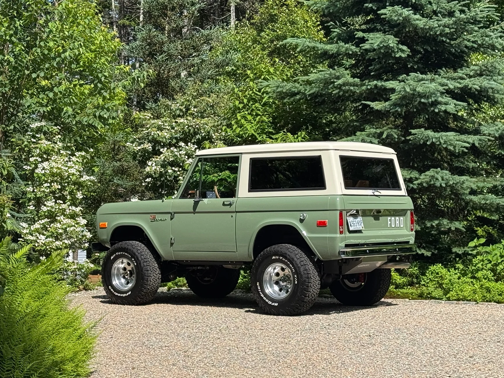 Ford Bronco Acadia Elopement IMG_9646