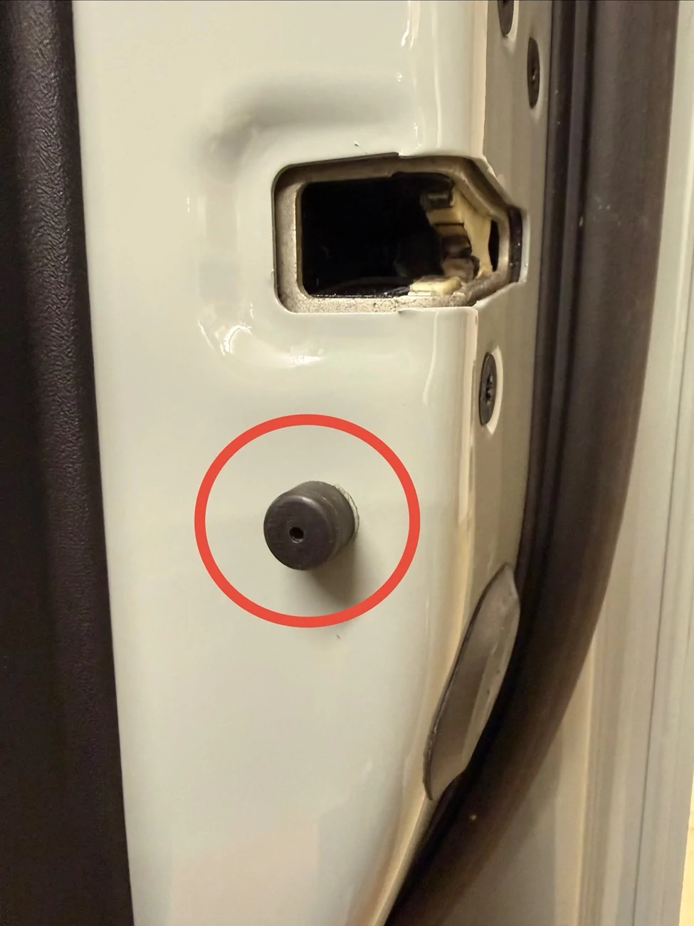 Ford Bronco Help! Need part number for tiny door bumper IMG_8194
