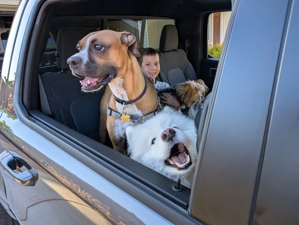 Ford Bronco The Dog Thread 🐾 Dogs-Ram
