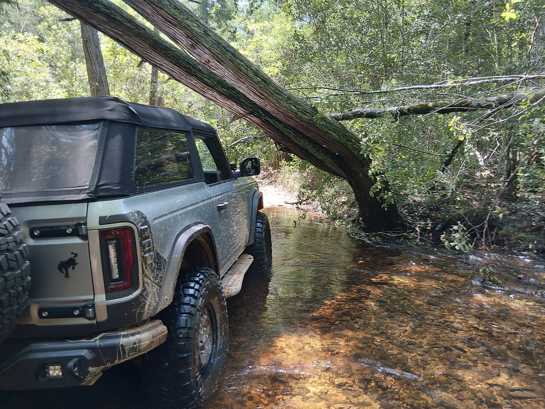 Ford Bronco Two Door Tuesday Lets See Them Two Doors 20260711_105432