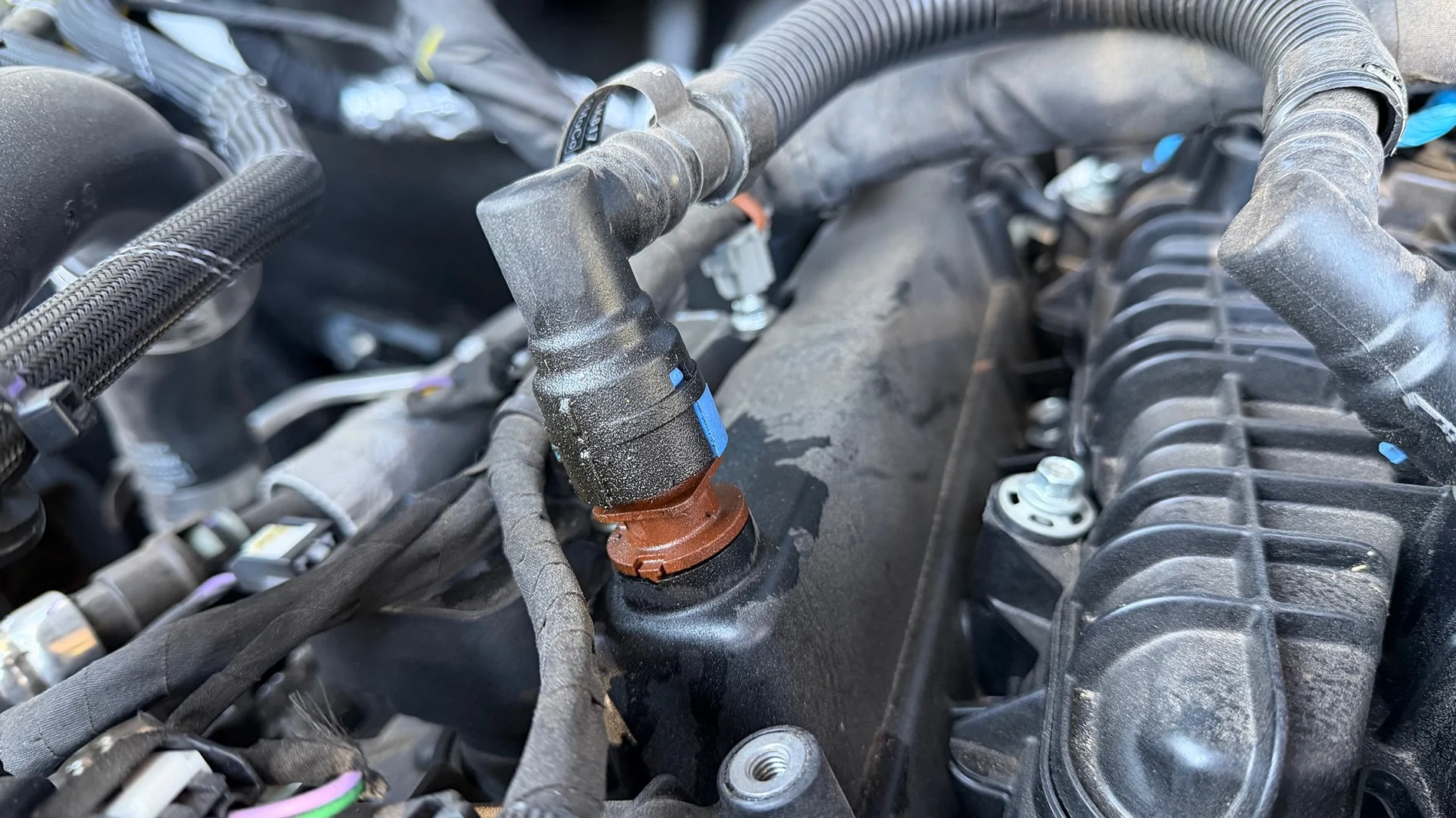 Ford Bronco Leak: Positive Crankcase Ventilation (PCV) system IMG_3467