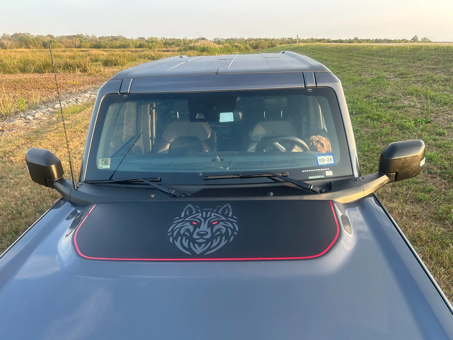 Ford Bronco Bronco Decal Designing IMG_1939