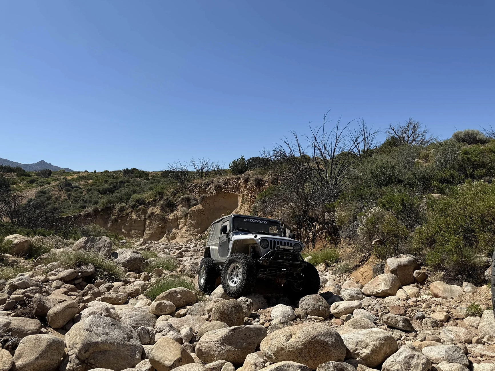 Ford Bronco What Percentage of Owners Off-Road?! LJ4