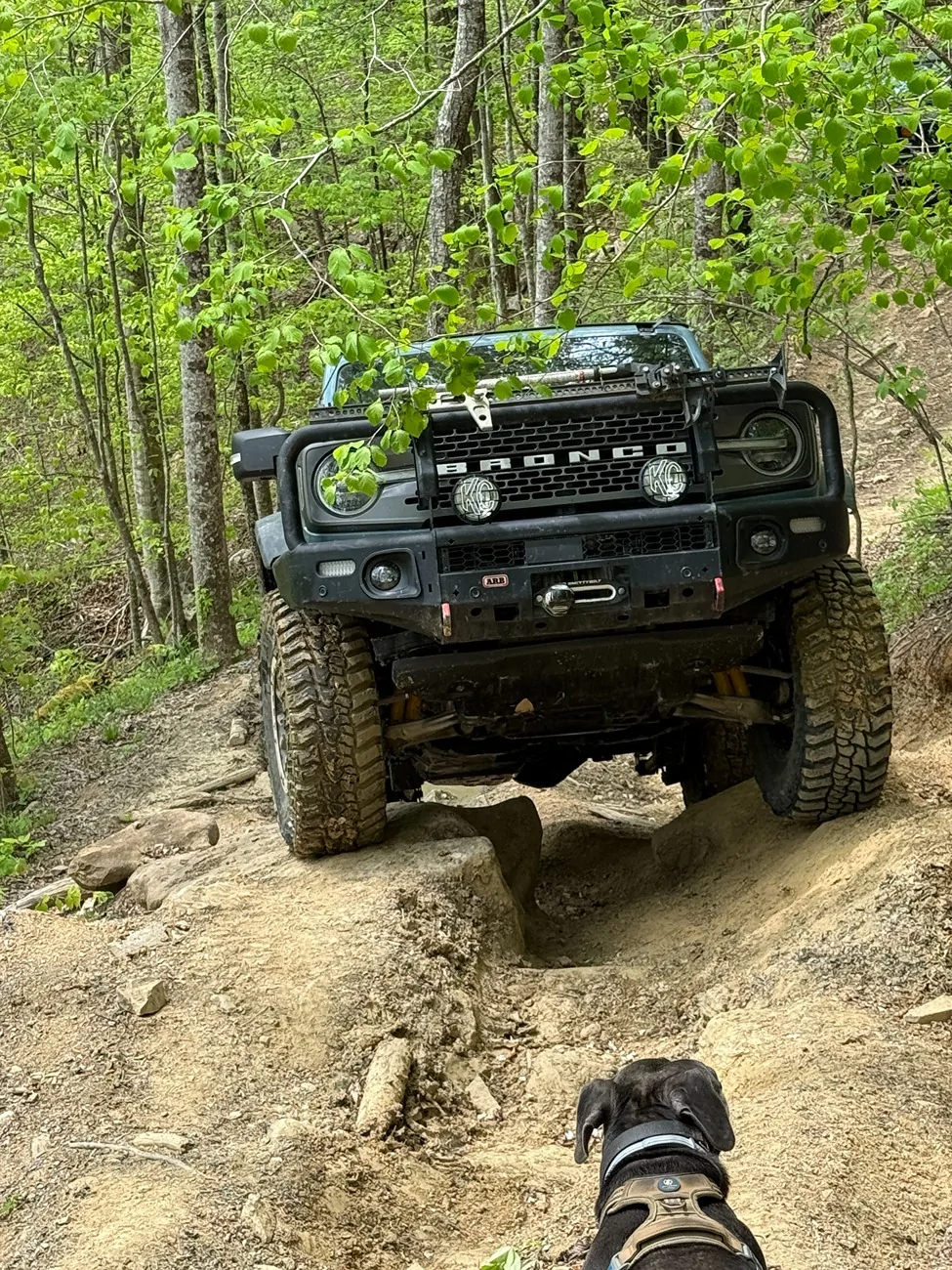 Ford Bronco What Percentage of Owners Off-Road?! IMG_20260420_100017