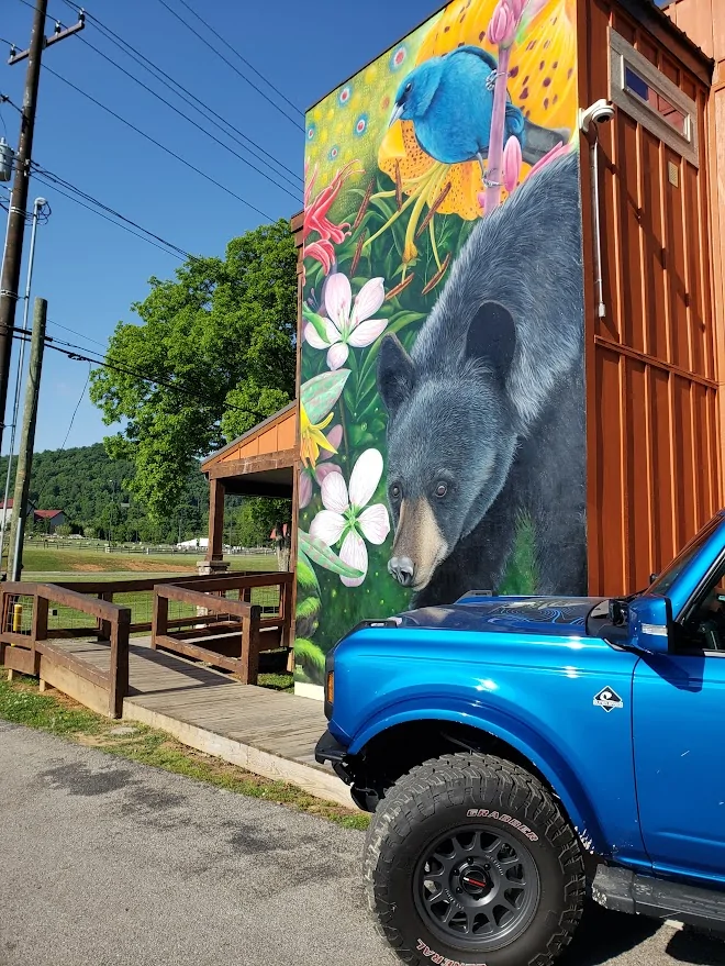 Ford Bronco The Official Bronco6G Photo Challenge Game 📸 🤳 1784993719254-k8