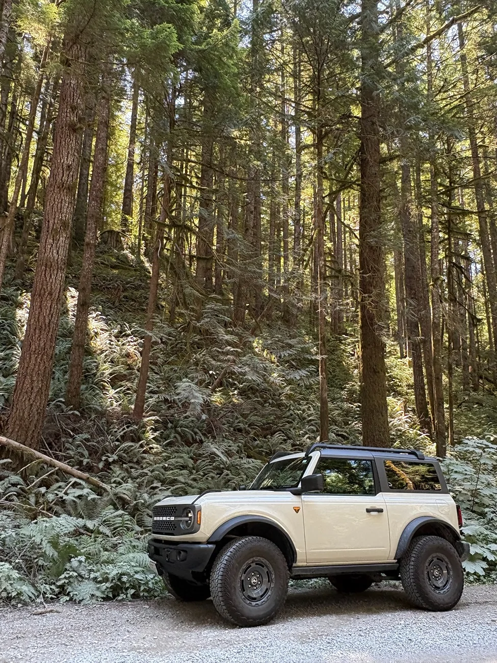Ford Bronco What did you do TO / WITH your Bronco today? 👨🏻‍🔧🧰🚿🛠 big trees