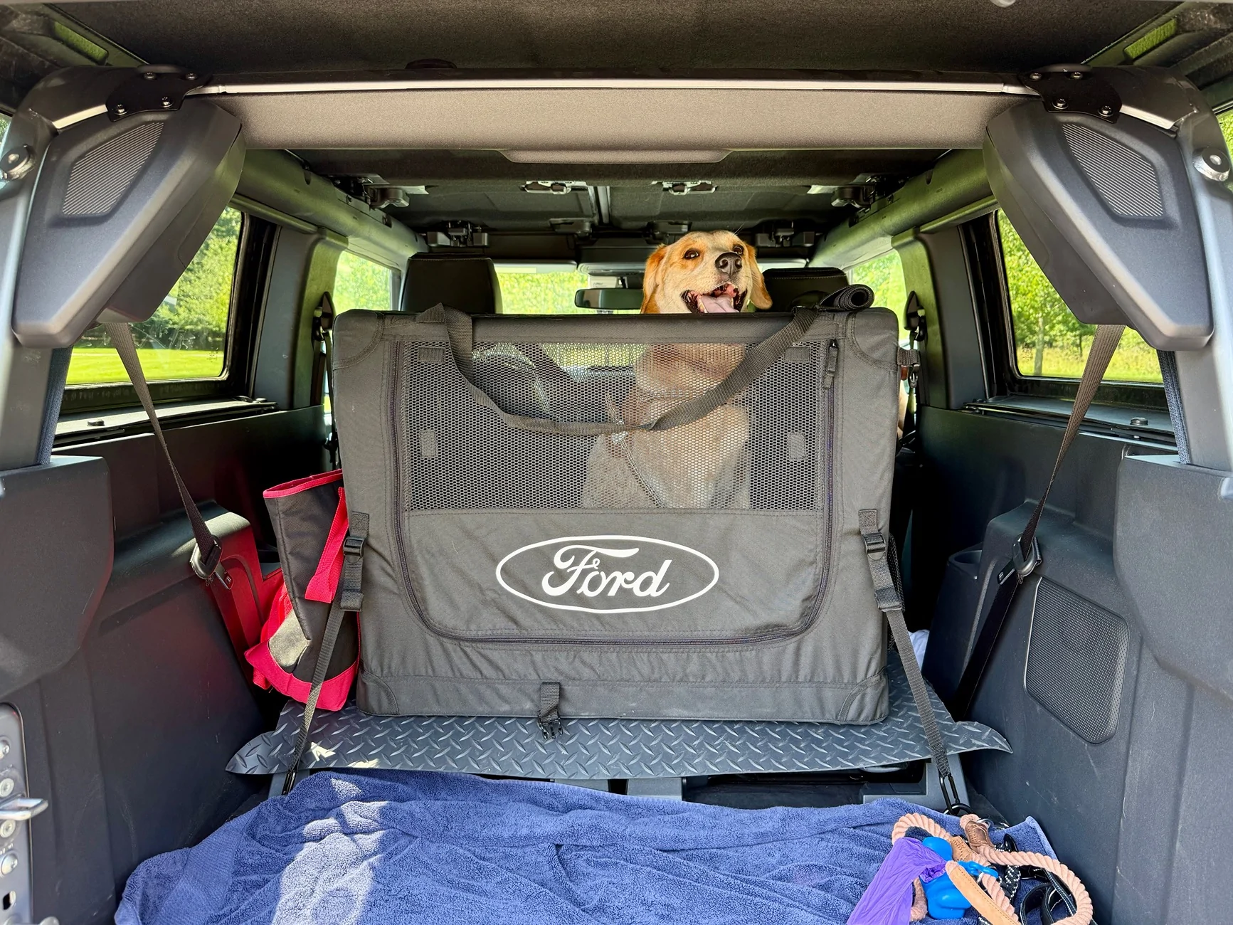 Ford Bronco Riding with dog - Bronco 2-Door options IMG_2196